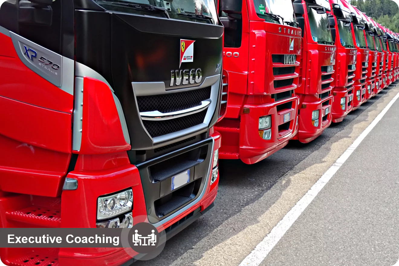 European Logistics Company - Executive Coaching