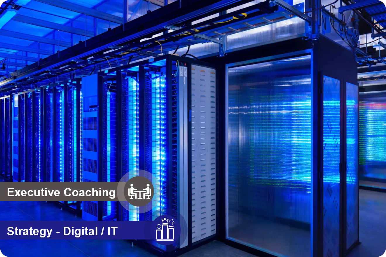 National IT Service Provider - IT Executive Coaching